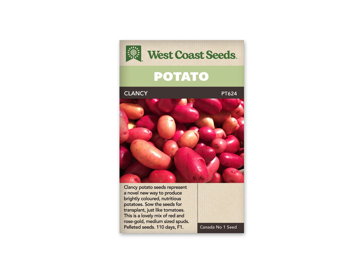 Sachet West Coast Seeds Clancy montrant un tas de petites pommes de terre rouges et rose doré. Les tubercules sont ronds à allongés et portent quelques yeux visibles sur leur peau lisse. Plusieurs teintes se côtoient dans la photo. Le nom Clancy apparaît dans le bandeau brun sous le titre blanc sur fond vert.