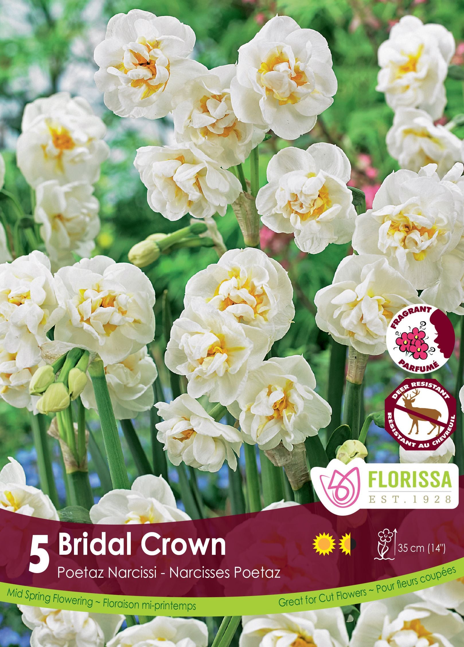 Narcisse Bridal Crown