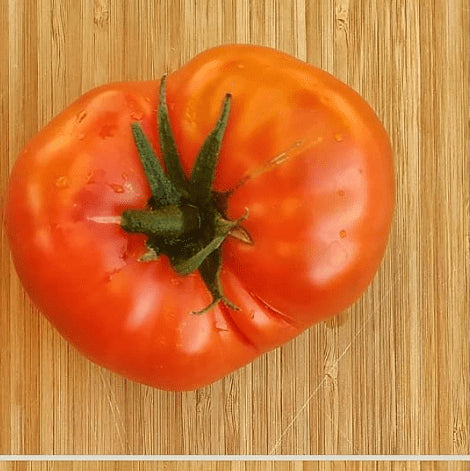 Tomate 'Italian Heirloom' bio