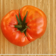 Tomate 'Italian Heirloom' bio