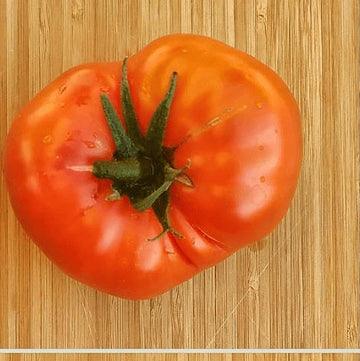 Organic 'Italian Heirloom' Tomato