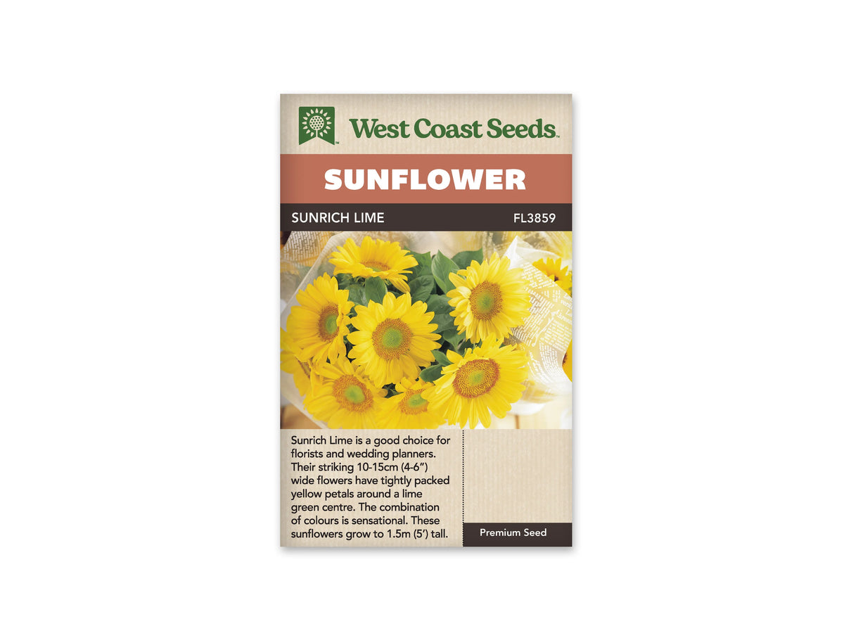 Sachet beige de semences Sunrich Lime avec bandeau terre cuite et nom sur fond brun. La photographie présente un bouquet de tournesols jaunes enveloppé de papier imprimé clair. Les fleurs ont des centres verts bordés d'une couronne dorée et de nombreux pétales serrés. Des feuilles vertes se mêlent aux capitules, disposés face au regard.