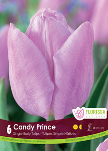 Tulipe Candy Prince ( Tulipa ) : une tulipe lilas pâle photographiée de près. Le visuel Florissa présente la plante et son nom dans la partie inférieure de l’étiquette. La photographie occupe presque toute la surface, tandis que le bandeau du bas rassemble les indications du produit. Cette vue permet de reconnaître son apparence et de distinguer la variété présentée.