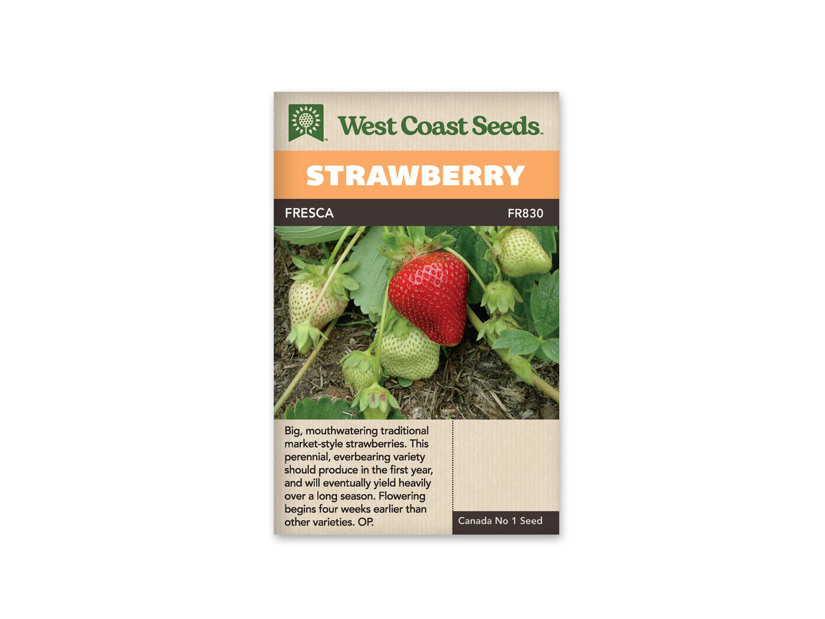 Sachet beige de semences Fresca avec une bande orange et une bande brune. La photo centrale montre une grosse fraise rouge entourée de plusieurs fruits encore blancs ou verts, parmi les feuilles et les tiges du fraisier. De la terre est visible sous les fruits. Un texte descriptif en anglais occupe la partie inférieure du sachet.