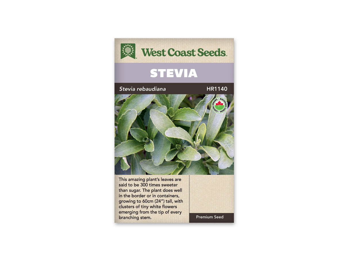 Sachet de stévia West Coast Seeds portant le nom Stevia sur un bandeau mauve. La photo présente des feuilles vertes ovales et légèrement dentées, regroupées autour de petites pousses. Un logo biologique rond apparaît à droite de l’image. Le nom botanique est inscrit sur une bande foncée, sous le titre et au-dessus de la photo.