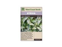 Sachet de stévia West Coast Seeds portant le nom Stevia sur un bandeau mauve. La photo présente des feuilles vertes ovales et légèrement dentées, regroupées autour de petites pousses. Un logo biologique rond apparaît à droite de l’image. Le nom botanique est inscrit sur une bande foncée, sous le titre et au-dessus de la photo.