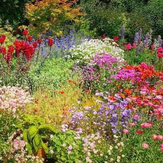 Un grand ensemble de fleurs blanches, roses, rouges, jaunes et violettes se répartit parmi un feuillage vert dense. Les groupes floraux présentent des formes arrondies, des pétales rayonnants et quelques épis plus hauts. De petites tiges se croisent au premier plan. Le fond montre des arbres verts et des portions de feuillage jaune orangé derrière les fleurs.