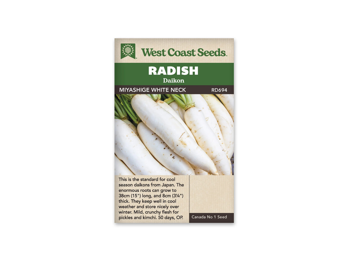 Sachet West Coast Seeds Miyashige White Neck illustré de gros radis blancs allongés. Les racines se chevauchent, avec quelques traces de terre sur leur peau et des bases de tiges vertes dans le haut de la photo. Le nom de la variété apparaît dans le bandeau brun situé sous le titre Radish Daikon.