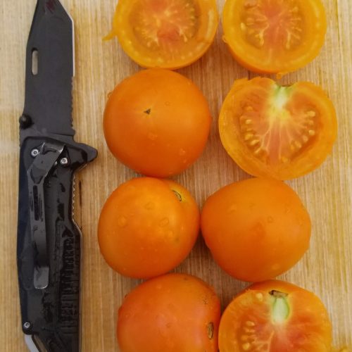 Organic 'Flame Yellow' Tomato