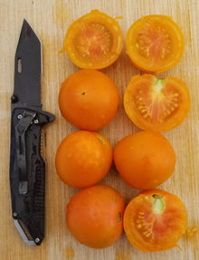 Tomate Jaune Flamme – Gaia Organic Seeds