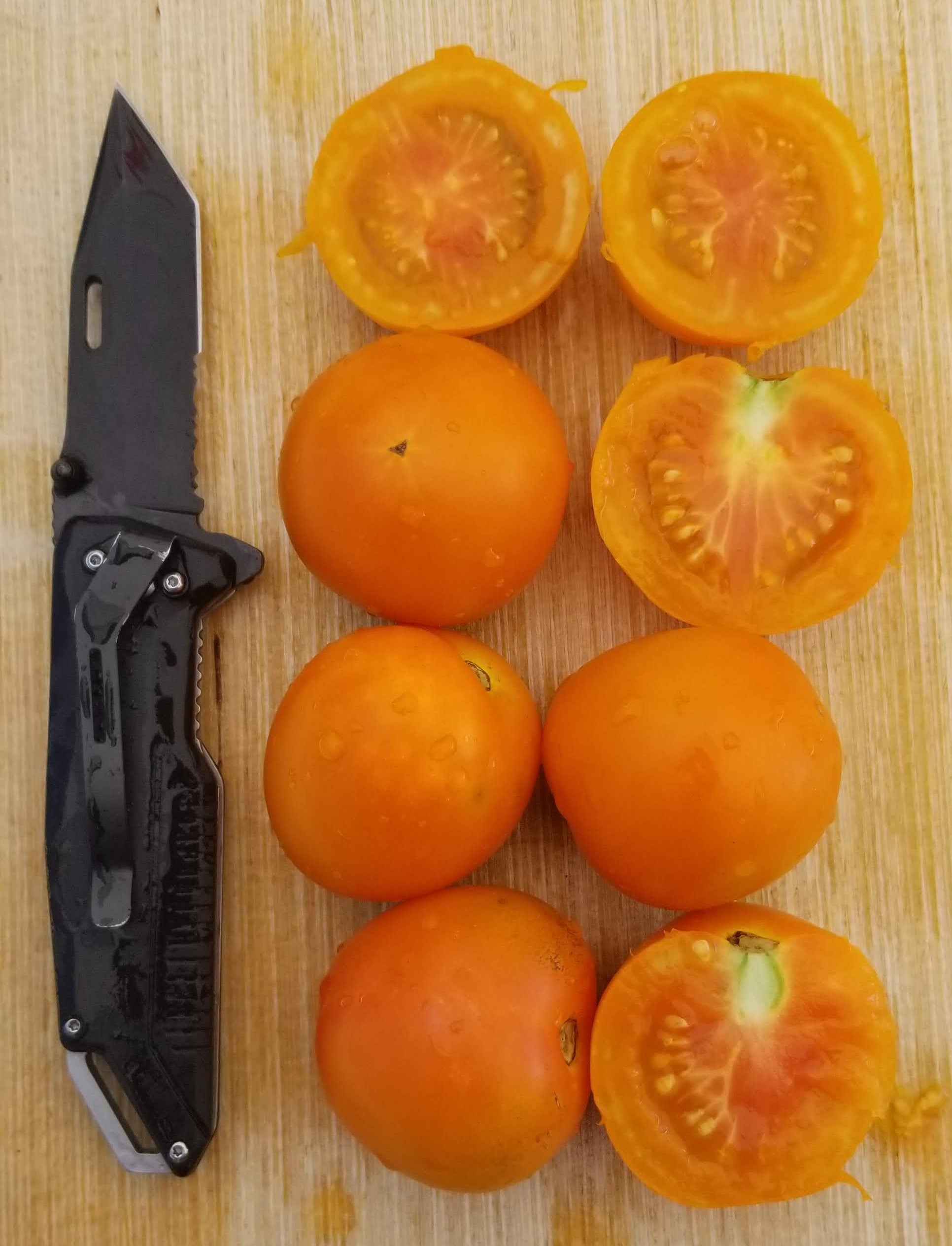 Tomate Jaune Flamme – Gaia Organic Seeds