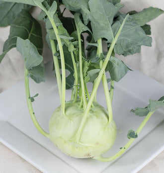 Un chou-rave vert pâle repose sur une assiette blanche carrée. Sa tige arrondie porte de longs pétioles vert clair qui remontent vers des feuilles bleu-vert. Les nervures pâles sont visibles sur les limbes, dont plusieurs bords sont lobés. Le fond clair et les plis d’un tissu entourent la récolte présentée de près.
