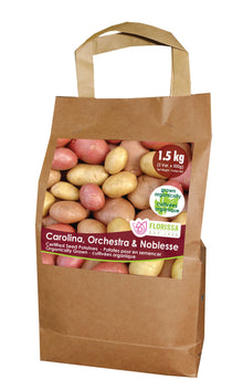 Pomme de terre ‘Organic Combo Sack’ ( Solanum tuberosum ) : un sac en papier à poignées illustré d’un mélange de pommes de terre. La présentation montre l’emballage avec une illustration du produit et son nom imprimé sur l’étiquette. Les informations sont regroupées sur la face visible, tandis que la photographie met en évidence le contenu ou la plante illustrée. Cette vue vous aide à reconnaître le produit présenté et son conditionnement.