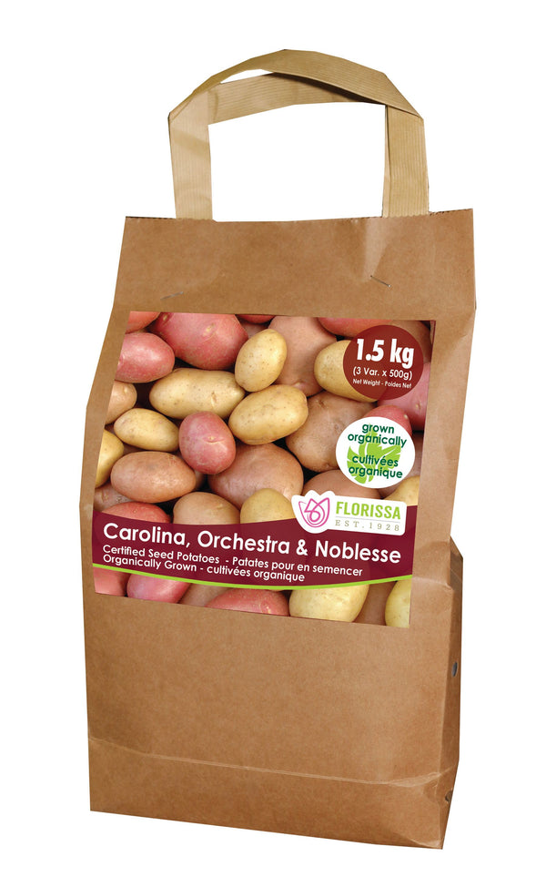 'Organic Combo Sack' Potato