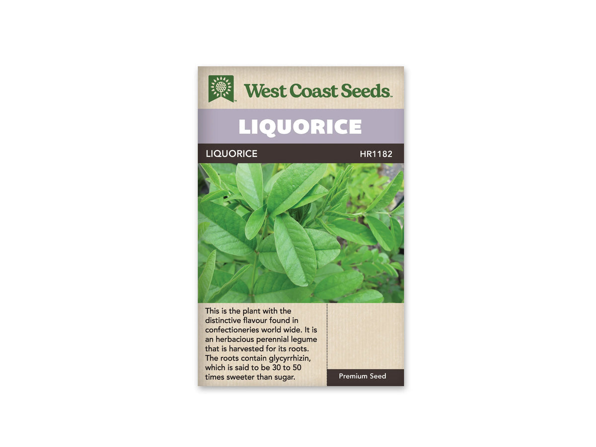 Sachet de réglisse West Coast Seeds présenté de face sur fond blanc. La photographie montre des feuilles vertes composées de folioles allongées, rapprochées sur des tiges fines. Le bandeau mauve porte le nom LIQUORICE. Une description en anglais occupe la partie beige inférieure, sous l’image du feuillage, et le logo apparaît en haut du sachet.