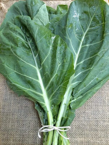 Semences Chou frisé sibérien (Brassica napus var. pabularia)