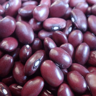 Organic 'Kashmir' Bean Seeds by Gaia, product image prepared for Canadian gardeners.