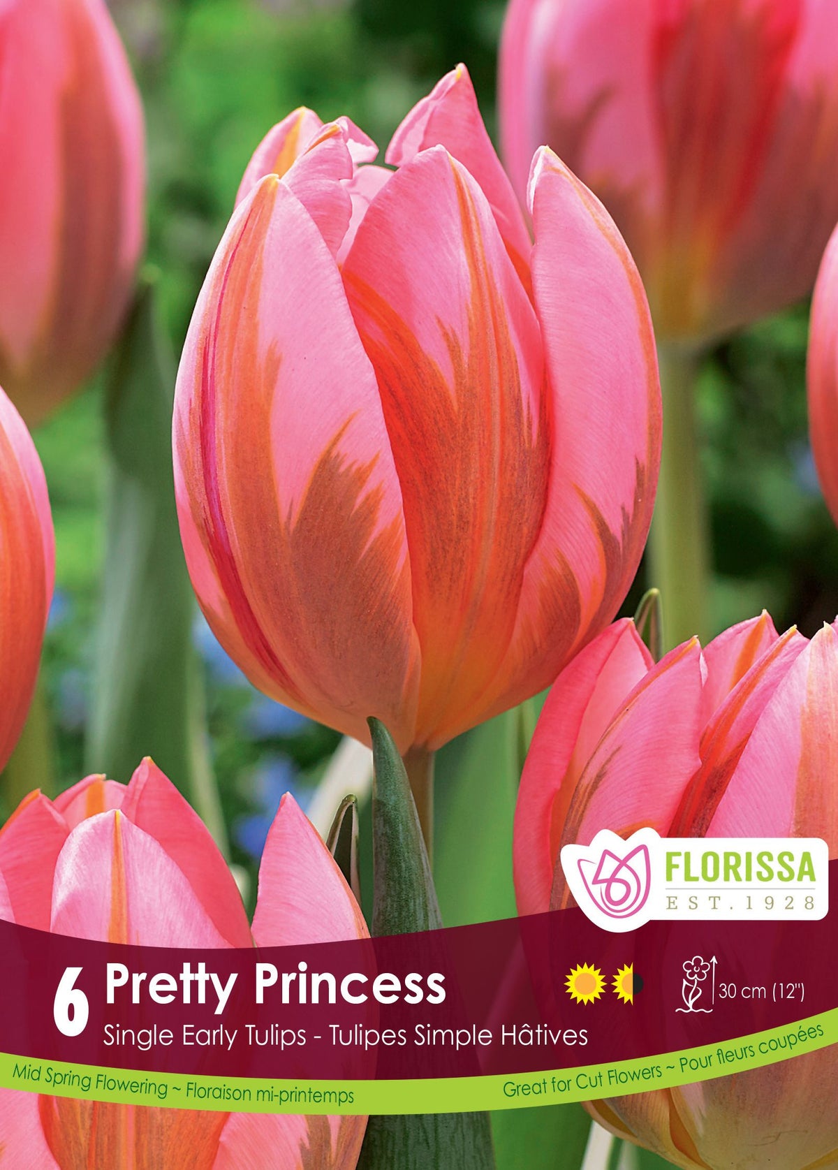 Tulipe Pretty Princess ( Tulipa ) : une tulipe rose parcourue de flammes cuivrées. Le visuel Florissa présente la plante et son nom dans la partie inférieure de l’étiquette. La photographie occupe presque toute la surface, tandis que le bandeau du bas rassemble les indications du produit. Cette vue permet de reconnaître son apparence et de distinguer la variété présentée.