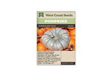 Sachet beige de semences Queensland Blue avec bandeau vert pâle et nom sur fond brun. Une grosse courge bleu gris, aplatie et profondément côtelée, est photographiée au centre d'un groupe de fruits orange. Son pédoncule court, brun et vert, se trouve au milieu du sommet creusé. La peau présente quelques marques et nuances plus claires.