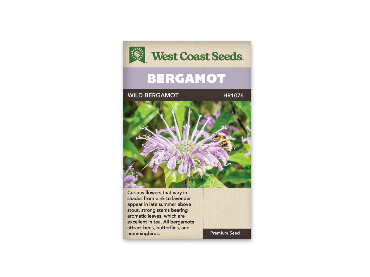 Sachet de monarde fistuleuse West Coast Seeds présenté de face sur fond blanc. La photographie centrale montre une tête florale rose lavande, composée de nombreuses fleurs tubulaires rayonnantes, entourée de feuilles vertes. Un bandeau mauve indique BERGAMOT; la désignation WILD BERGAMOT apparaît sur une ligne foncée. Le bas beige du sachet contient un texte descriptif en anglais.