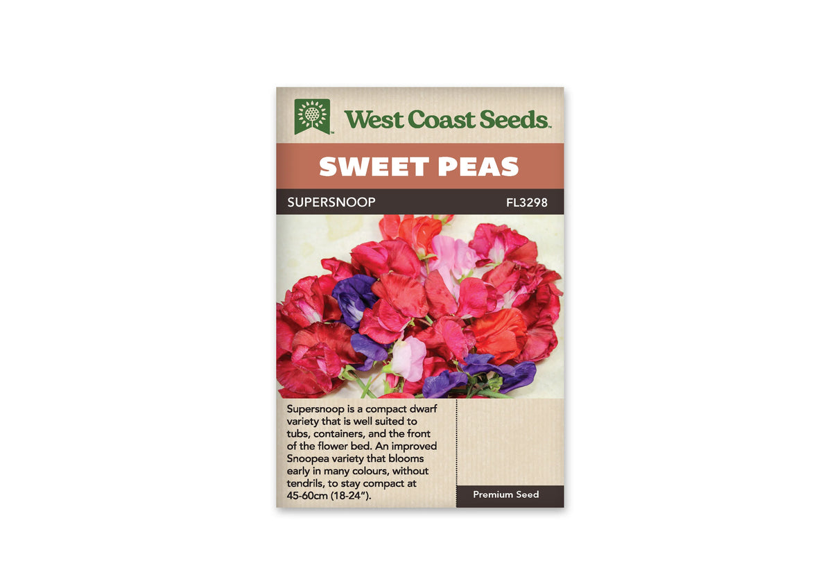 Sachet West Coast Seeds Supersnoop montrant un groupe de fleurs de pois de senteur aux couleurs vives. Les pétales rouges et roses dominent, accompagnés de violet foncé et de rose pâle. Quelques tiges vertes apparaissent sous les corolles réunies devant un fond clair. Les fleurs se chevauchent et présentent des bords légèrement ondulés.