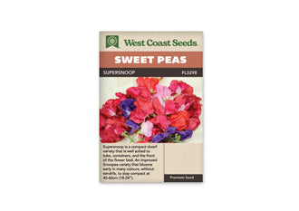 Sachet West Coast Seeds Supersnoop montrant un groupe de fleurs de pois de senteur aux couleurs vives. Les pétales rouges et roses dominent, accompagnés de violet foncé et de rose pâle. Quelques tiges vertes apparaissent sous les corolles réunies devant un fond clair. Les fleurs se chevauchent et présentent des bords légèrement ondulés.
