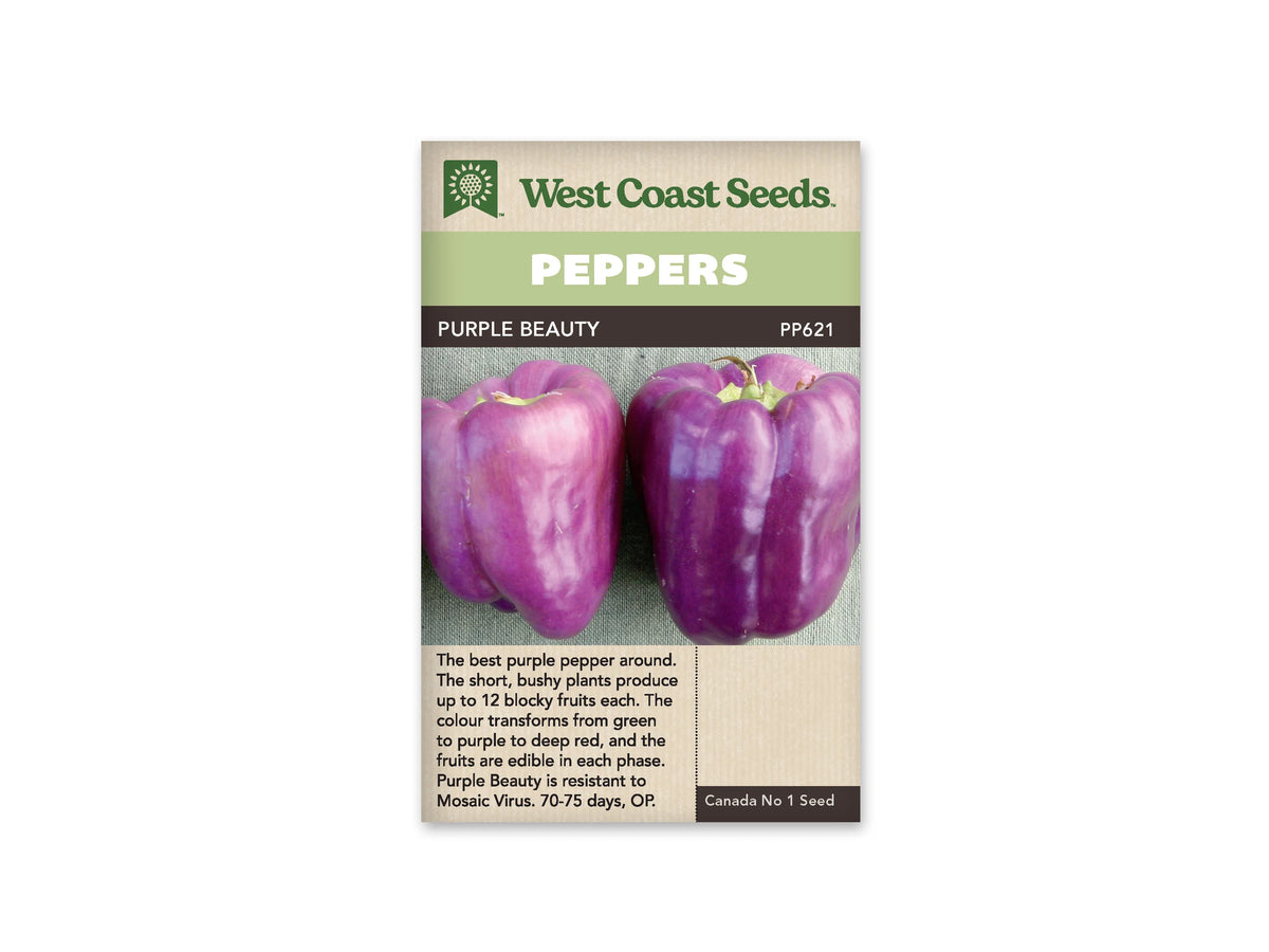 Sachet West Coast Seeds de poivron Purple Beauty. Sous le bandeau vert pâle marqué Peppers, la photo montre deux gros fruits violets entiers et lobés, avec leurs pédoncules verts. Des reflets plus clairs soulignent leur peau lisse. Le nom Purple Beauty et le code PP621 sont inscrits sur la bande sombre au-dessus de la photo.