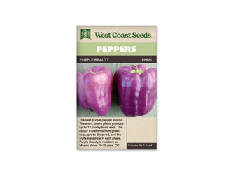 Sachet West Coast Seeds de poivron Purple Beauty. Sous le bandeau vert pâle marqué Peppers, la photo montre deux gros fruits violets entiers et lobés, avec leurs pédoncules verts. Des reflets plus clairs soulignent leur peau lisse. Le nom Purple Beauty et le code PP621 sont inscrits sur la bande sombre au-dessus de la photo.