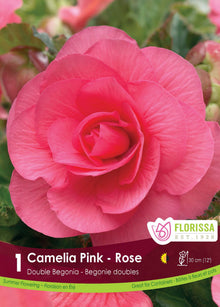 Bégonia Double Camelia Rose ( Begonia × tuberhybrida ‘Rose’) : une fleur de bégonia double rose aux pétales arrondis. Le visuel Florissa présente la plante et son nom dans la partie inférieure de l’étiquette. La photographie occupe presque toute la surface, tandis que le bandeau du bas rassemble les indications du produit. Cette vue permet de reconnaître son apparence et de distinguer la variété présentée.