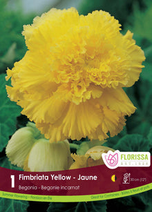 Bégonia Fimbriata Jaune ( Begonia × tuberhybrida ‘Fimbriata Jaune’) : une fleur de bégonia jaune aux pétales très frisés. Le visuel Florissa présente la plante et son nom dans la partie inférieure de l’étiquette. La photographie occupe presque toute la surface, tandis que le bandeau du bas rassemble les indications du produit. Cette vue permet de reconnaître son apparence et de distinguer la variété présentée.
