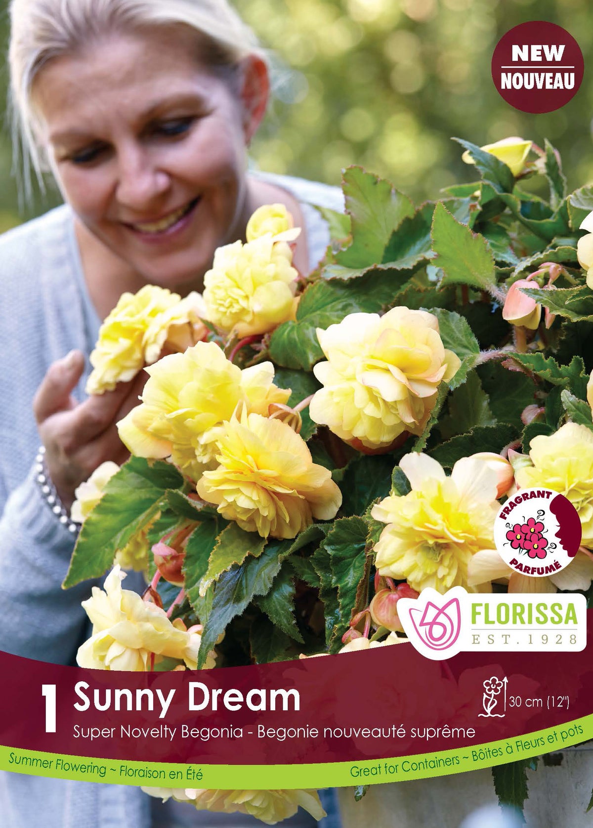 Bégonia Superba Novelty Sunny Dream ( Begonia × tuberhybrida ‘Sunny Dream’) : une personne penchée près d’un bégonia à fleurs doubles jaunes. Le visuel Florissa présente la plante et son nom dans la partie inférieure de l’étiquette. La photographie occupe presque toute la surface, tandis que le bandeau du bas rassemble les indications du produit. Cette vue permet de reconnaître son apparence et de distinguer la variété présentée.