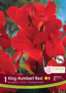 Canna ‘Red King Humbert’ ( Canna ) : des fleurs de canna rouge vif aux pétales larges. Le visuel Florissa présente la plante et son nom dans la partie inférieure de l’étiquette. La photographie occupe presque toute la surface, tandis que le bandeau du bas rassemble les indications du produit. Cette vue permet de reconnaître son apparence et de distinguer la variété présentée.