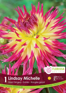 Dahlia géant ‘Lindsay Michelle’ ( Dahlia ) : un dahlia jaune dont les longs pétales portent des pointes rose vif. Le visuel Florissa présente la plante et son nom dans la partie inférieure de l’étiquette. La photographie occupe presque toute la surface, tandis que le bandeau du bas rassemble les indications du produit. Cette vue permet de reconnaître son apparence et de distinguer la variété présentée.