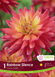 Dahlia cactus ‘Rainbow Silence’ ( Dahlia ) : un dahlia rose rouge à cœur jaune et pétales pointus. Le visuel Florissa présente la plante et son nom dans la partie inférieure de l’étiquette. La photographie occupe presque toute la surface, tandis que le bandeau du bas rassemble les indications du produit. Cette vue permet de reconnaître son apparence et de distinguer la variété présentée.