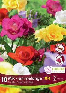 Freesia double Mélange ( Freesia hybrides) : des freesias doubles jaunes, rouges, roses et blancs. Le visuel Florissa présente la plante et son nom dans la partie inférieure de l’étiquette. La photographie occupe presque toute la surface, tandis que le bandeau du bas rassemble les indications du produit. Cette vue permet de reconnaître son apparence et de distinguer la variété présentée.