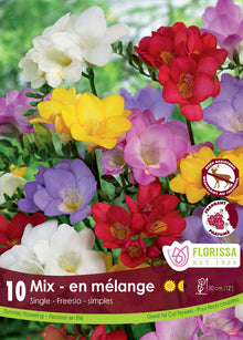 Freesia simple Mélange ( Freesia hybrides) : des freesias simples blancs, jaunes, rouges, roses et violets. Le visuel Florissa présente la plante et son nom dans la partie inférieure de l’étiquette. La photographie occupe presque toute la surface, tandis que le bandeau du bas rassemble les indications du produit. Cette vue permet de reconnaître son apparence et de distinguer la variété présentée.
