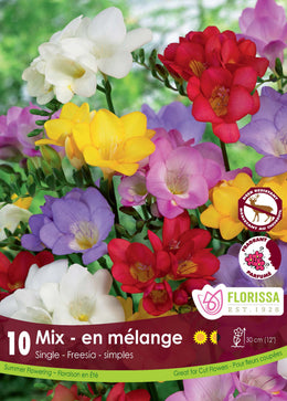 Freesia 'Simple Mix'
