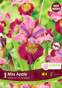 Iris sibirica ‘Miss Apple’ ( Iris ) : un iris rose et pourpre à sépales marqués de jaune. Le visuel Florissa présente la plante et son nom dans la partie inférieure de l’étiquette. La photographie occupe presque toute la surface, tandis que le bandeau du bas rassemble les indications du produit. Cette vue permet de reconnaître son apparence et de distinguer la variété présentée.