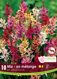 Ixia hybrides ‘Mélange’ ( Ixia ) : des épis d’ixias aux fleurs jaunes, roses, blanches et rouges. Le visuel Florissa présente la plante et son nom dans la partie inférieure de l’étiquette. La photographie occupe presque toute la surface, tandis que le bandeau du bas rassemble les indications du produit. Cette vue permet de reconnaître son apparence et de distinguer la variété présentée.