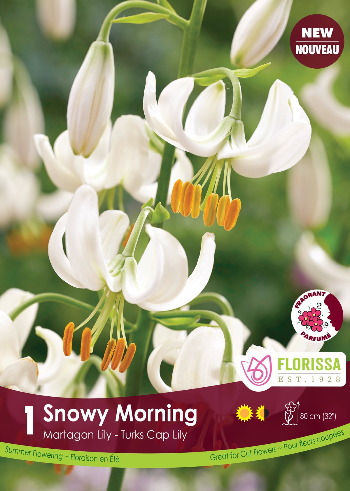 Lis martagon ‘Snowy Morning’ ( Lilium ) : des lys blancs retombants aux pétales très recourbés. Le visuel Florissa présente la plante et son nom dans la partie inférieure de l’étiquette. La photographie occupe presque toute la surface, tandis que le bandeau du bas rassemble les indications du produit. Cette vue permet de reconnaître son apparence et de distinguer la variété présentée.