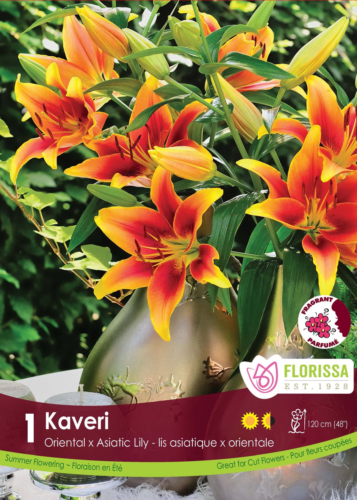 Lis novelty ‘Kaveri’ ( Lilium ) : des lys jaune orangé à grands centres rouges. Le visuel Florissa présente la plante et son nom dans la partie inférieure de l’étiquette. La photographie occupe presque toute la surface, tandis que le bandeau du bas rassemble les indications du produit. Cette vue permet de reconnaître son apparence et de distinguer la variété présentée.
