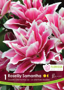 Lis double oriental Roselily ‘Samantha’ ( Lilium ) : des lys doubles roses largement bordés de blanc. Le visuel Florissa présente la plante et son nom dans la partie inférieure de l’étiquette. La photographie occupe presque toute la surface, tandis que le bandeau du bas rassemble les indications du produit. Cette vue permet de reconnaître son apparence et de distinguer la variété présentée.