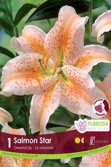 Lis ‘Salmon Star’ ( Lilium ) : un lys rose saumon à gorge orangée et pétales ponctués. Le visuel Florissa présente la plante et son nom dans la partie inférieure de l’étiquette. La photographie occupe presque toute la surface, tandis que le bandeau du bas rassemble les indications du produit. Cette vue permet de reconnaître son apparence et de distinguer la variété présentée.
