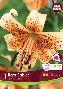 Lis tigre ‘Tiger Babies’ ( Lilium ) : un lys pêche portant de nombreuses petites taches sombres. Le visuel Florissa présente la plante et son nom dans la partie inférieure de l’étiquette. La photographie occupe presque toute la surface, tandis que le bandeau du bas rassemble les indications du produit. Cette vue permet de reconnaître son apparence et de distinguer la variété présentée.