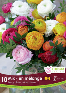 Renoncule pivoine ‘Mélange’ ( Ranunculus ) : un bouquet de renoncules blanches, jaunes, roses et rouges. Le visuel Florissa présente la plante et son nom dans la partie inférieure de l’étiquette. La photographie occupe presque toute la surface, tandis que le bandeau du bas rassemble les indications du produit. Cette vue permet de reconnaître son apparence et de distinguer la variété présentée.