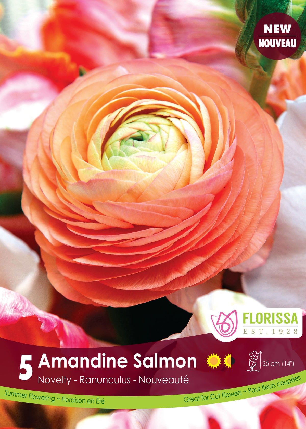 Renoncule ‘Amandine Saumon’ ( Ranunculus ) : une renoncule double saumon à cœur clair. Le visuel Florissa présente la plante et son nom dans la partie inférieure de l’étiquette. La photographie occupe presque toute la surface, tandis que le bandeau du bas rassemble les indications du produit. Cette vue permet de reconnaître son apparence et de distinguer la variété présentée.