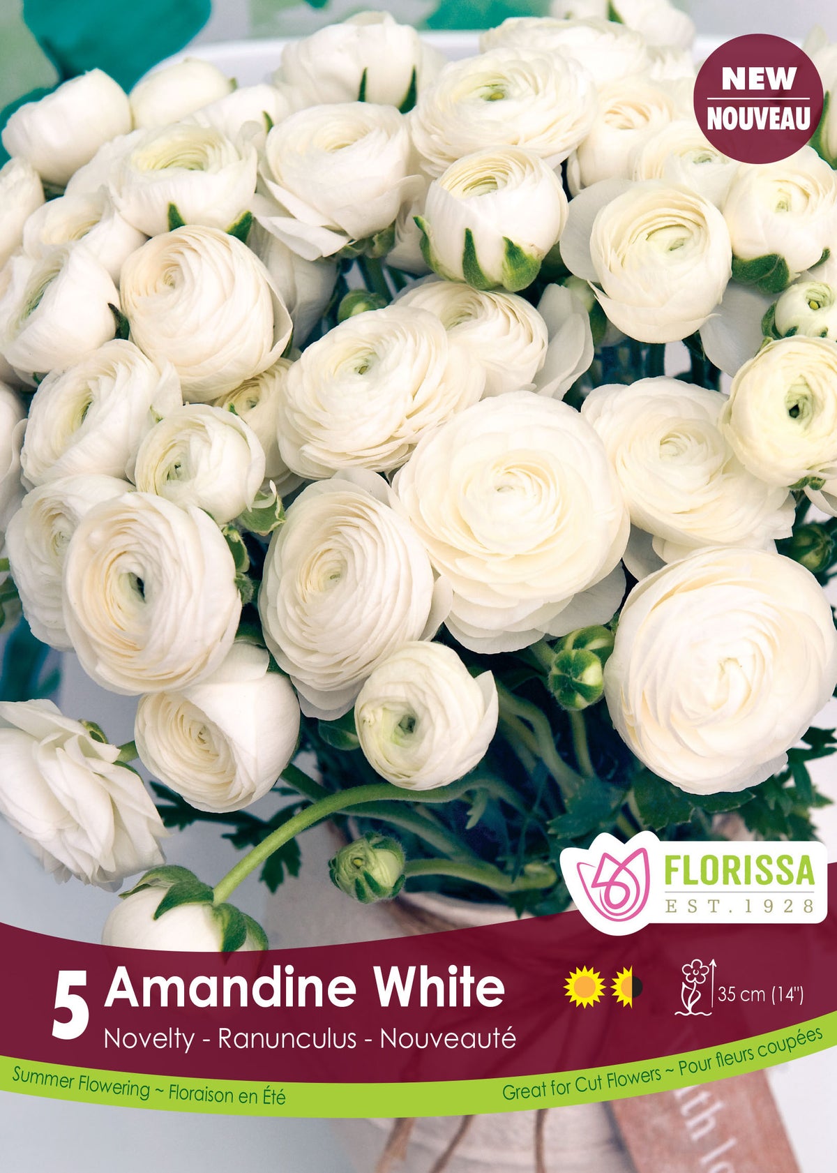 Renoncule ‘Amandine White’ ( Ranunculus ) : un bouquet de renoncules doubles blanches. Le visuel Florissa présente la plante et son nom dans la partie inférieure de l’étiquette. La photographie occupe presque toute la surface, tandis que le bandeau du bas rassemble les indications du produit. Cette vue permet de reconnaître son apparence et de distinguer la variété présentée.