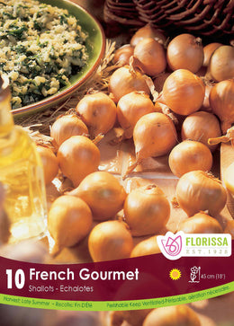 Shallot 'French Gourmet' (10 bulbs)