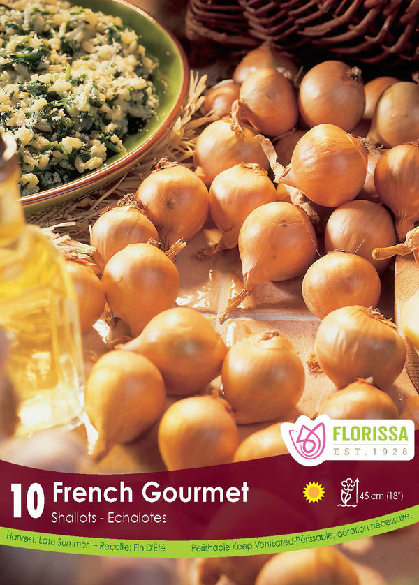 Shallot 'French Gourmet' (10 bulbs)