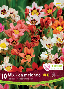 Sparaxis ‘Mélange’ ( Sparaxis ) : des fleurs de sparaxis rouges, blanches, roses et jaunes à cœur contrasté. Le visuel Florissa présente la plante et son nom dans la partie inférieure de l’étiquette. La photographie occupe presque toute la surface, tandis que le bandeau du bas rassemble les indications du produit. Cette vue permet de reconnaître son apparence et de distinguer la variété présentée.
